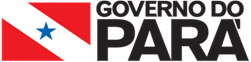 Governo-do-Para-Horizontal.png