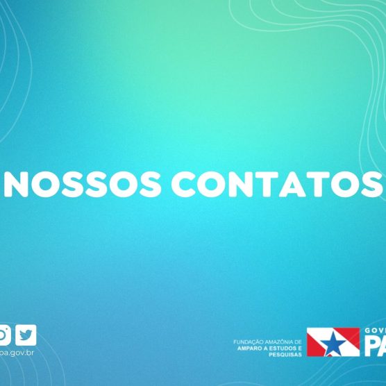 Confira os nossos contatos: