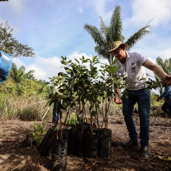 Geração de emprego na indústria bate recorde no Pará, aponta estudo da Fapespa