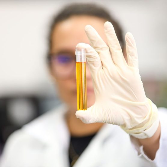 Com Bolsa Pará, Fapespa investe quase R$ 1,3 milhão mensal nas 12 Regiões de Integração