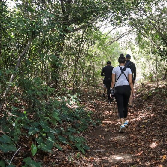 Amazônia tem cerca de R$ 94 milhões para investimentos em 'Expedições Científicas'