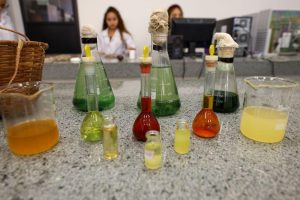 Projeto apoiado pela Fapespa vai incentivar a Bioeconomia na agricultura familiar em Nova Ipixuna