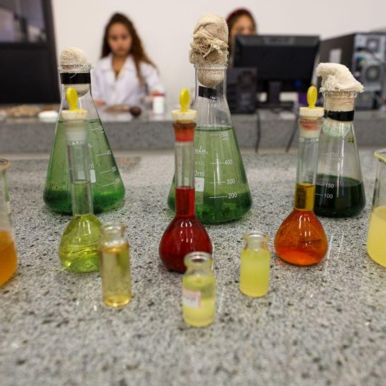 Projeto apoiado pela Fapespa vai incentivar a Bioeconomia na agricultura familiar em Nova Ipixuna