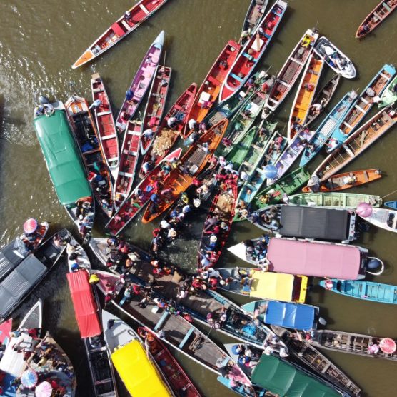 Casos de escalpelamento no Pará caem com implementação de políticas públicas preventivas