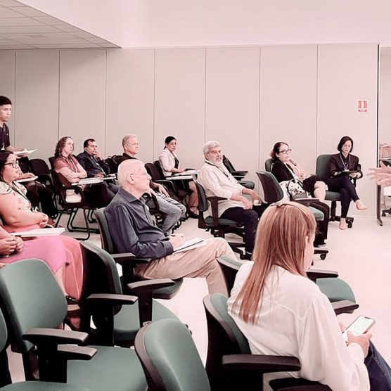 Câmaras Técnicas abordam políticas integradas na construção do Pará 2050