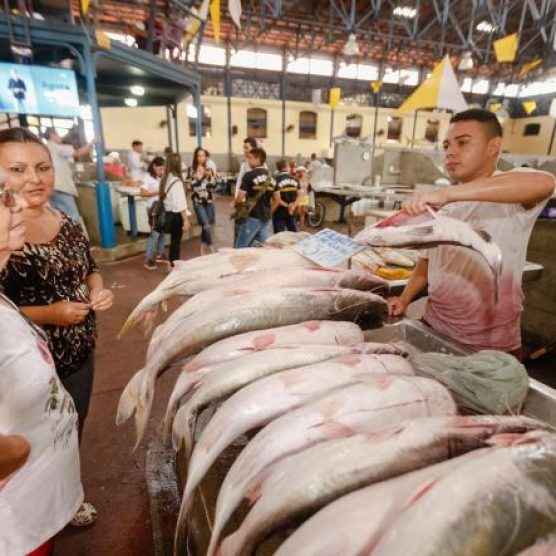 Consumo de pescado no Pará é quase quatro vezes maior que a média brasileira