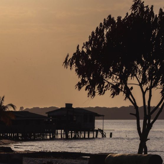 Marajó se destaca por natureza, turismo e agropecuária