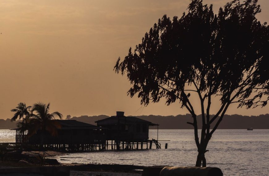 Marajó se destaca por natureza, turismo e agropecuária