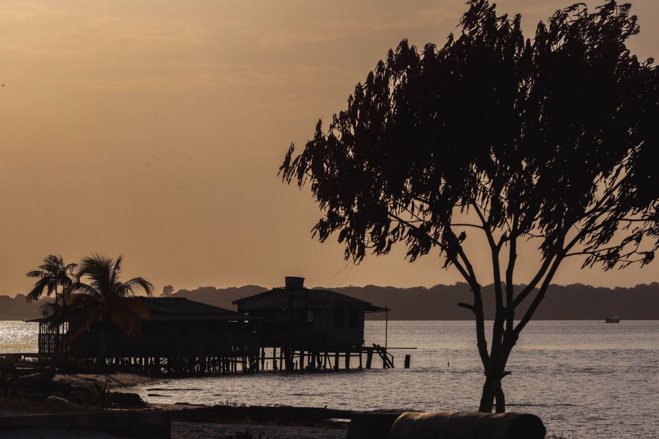 Marajó se destaca por natureza, turismo e agropecuária
