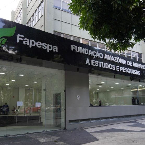 Fapespa prorroga edital que incentiva liderança feminina em pesquisas