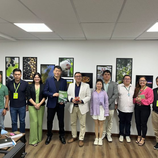 Pará e China tratam sobre parcerias em ciência e pesquisa