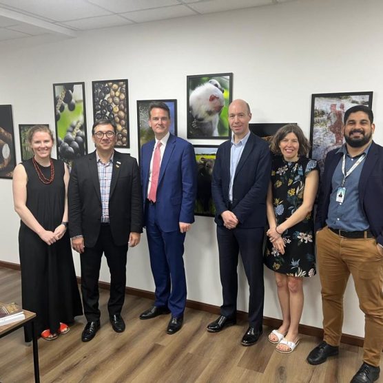 Fapespa discute com a Universidade de Birmingham possíveis novas parcerias