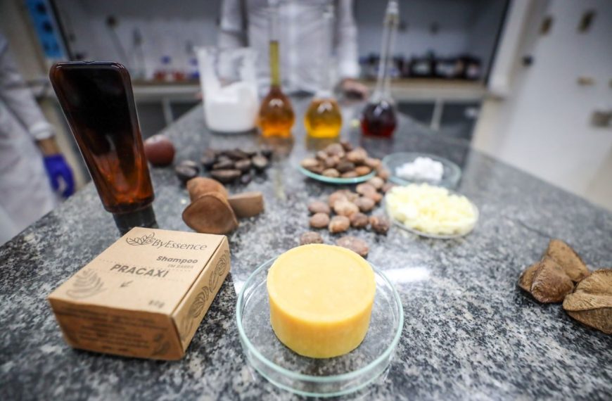Fapespa fortalece pesquisas que utilizam matéria-prima nativa do Pará alinhadas à bioeconomia