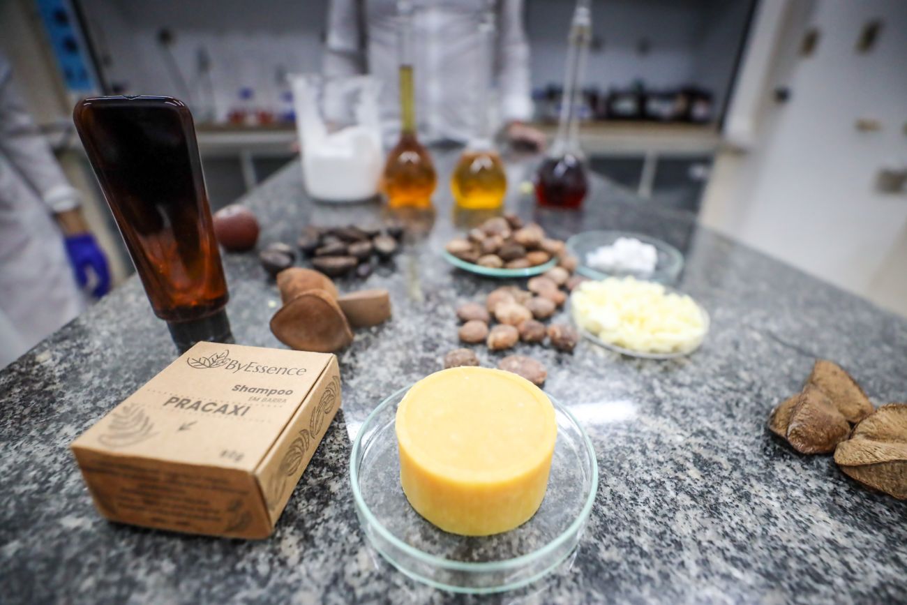 Fapespa fortalece pesquisas que utilizam matéria-prima nativa do Pará alinhadas à bioeconomia