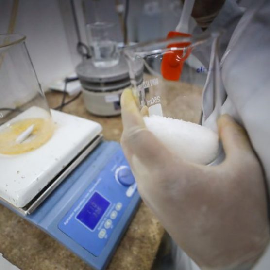 Fapespa abre inscrições para mil bolsas de iniciação científica e tecnológica no Pará