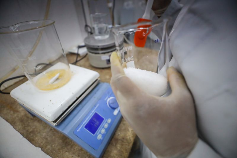 Fapespa abre inscrições para mil bolsas de iniciação científica e tecnológica no Pará