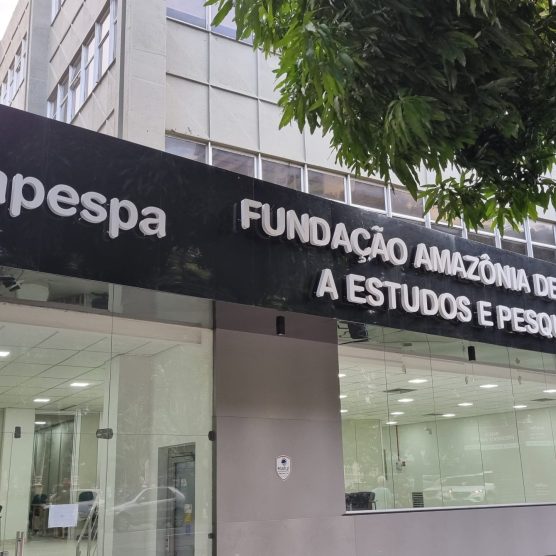 Fapespa destaca dia 13, como prazo final, para bolsas de pesquisa de até R$ 3,5