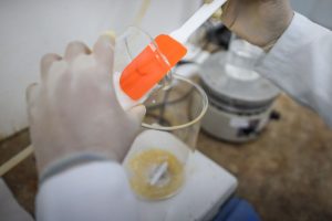 Fapespa está com edital aberto para financiar projetos de Pesquisa & Inovação entre Brasil e Bélgica