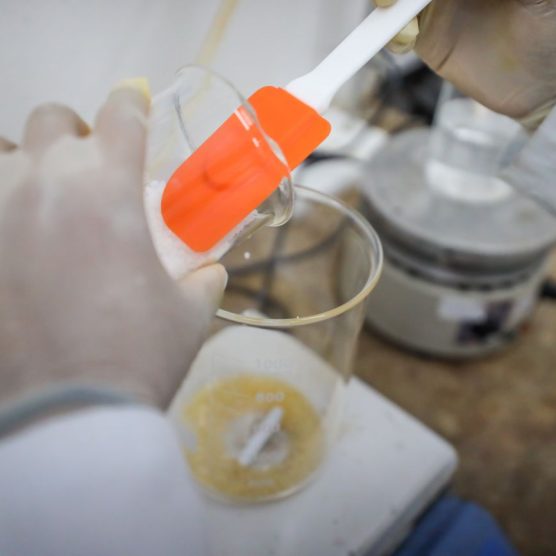 Fapespa está com edital aberto para financiar projetos de Pesquisa & Inovação entre Brasil e Bélgica