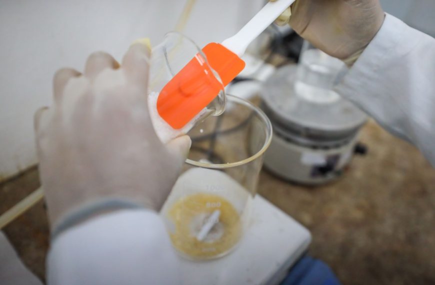 Fapespa está com edital aberto para financiar projetos de Pesquisa & Inovação entre Brasil e Bélgica