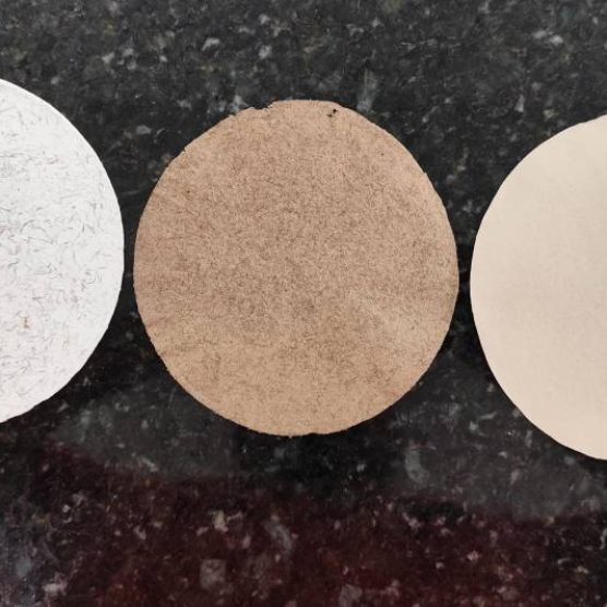 Fapespa é destaque no maior evento científico da América Latina