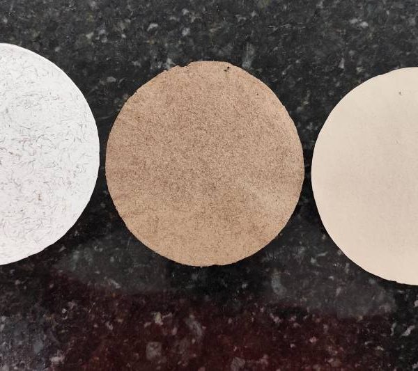 Fapespa é destaque no maior evento científico da América Latina