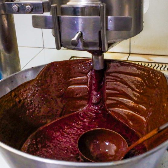 Nove municípios paraenses lideram produção nacional do açaí, aponta Fapespa