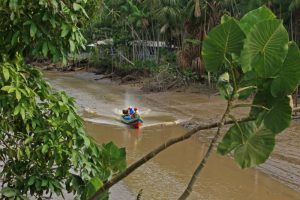 NexBio Amazônia chega à última semana com colaboração da Fapespa