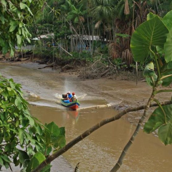 NexBio Amazônia chega à última semana com colaboração da Fapespa