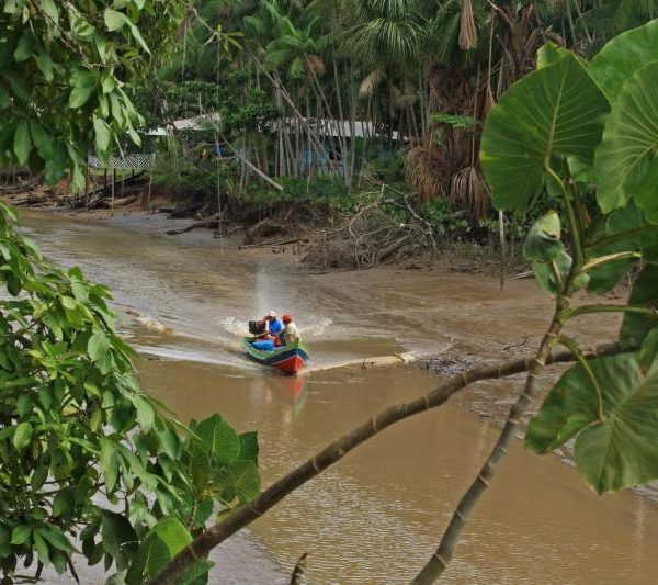 NexBio Amazônia chega à última semana com colaboração da Fapespa