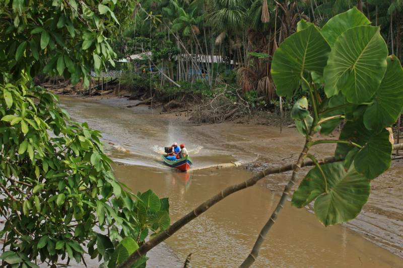 NexBio Amazônia chega à última semana com colaboração da Fapespa