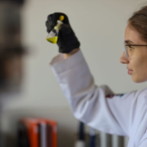 Fapespa alerta prazo para chamada internacional MAECI 2024