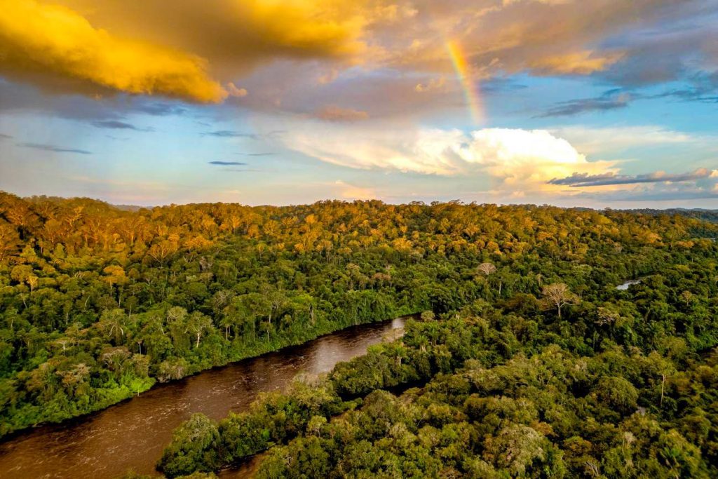 Iniciativa Amazônia+10 divulga resultados preliminares da chamada Expedições Científicas