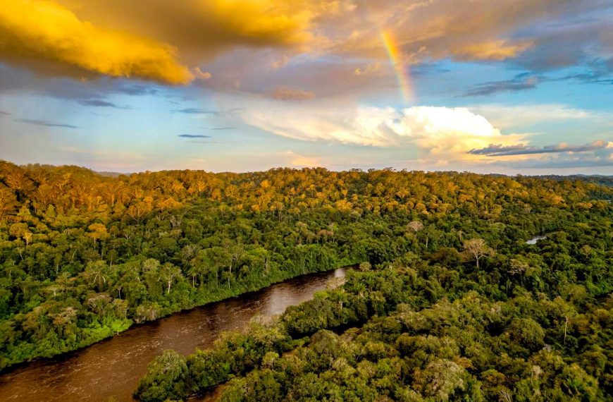Iniciativa Amazônia+10 divulga resultados preliminares da chamada Expedições Científicas