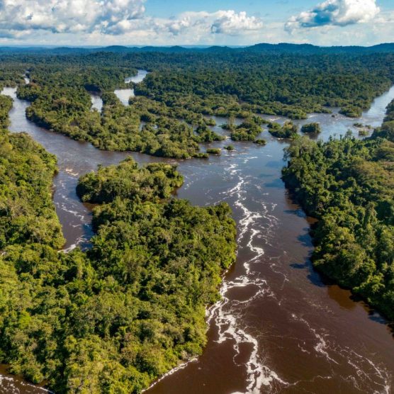 Divulgados aprovados para financiamento de projetos em mudanças climáticas com foco na juventude e comunidades tradicionais