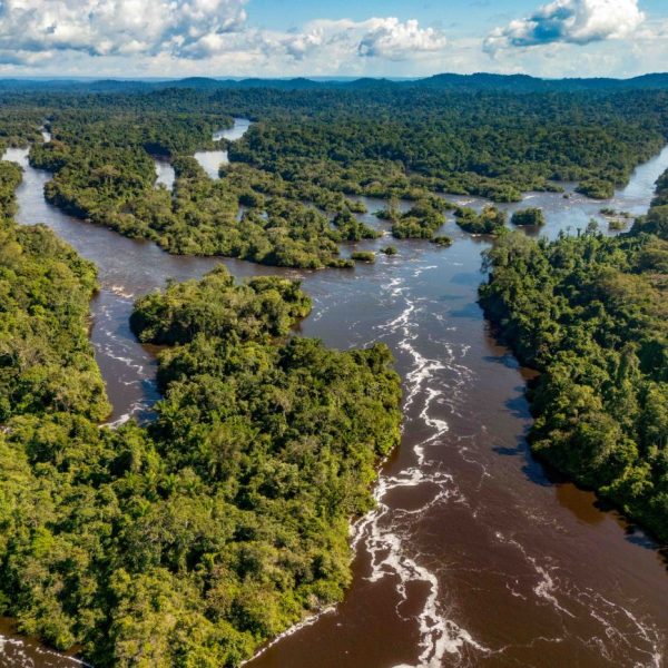 Divulgados aprovados para financiamento de projetos em mudanças climáticas com foco na juventude e comunidades tradicionais