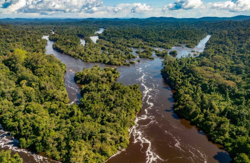 Divulgados aprovados para financiamento de projetos em mudanças climáticas com foco na juventude e comunidades tradicionais