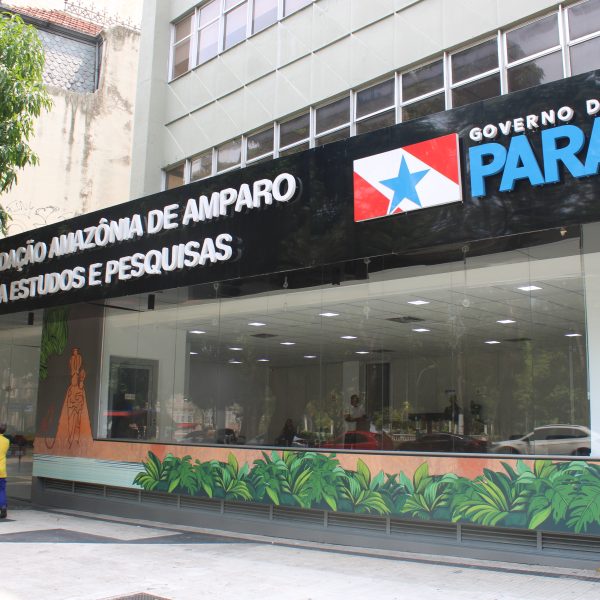 Fapespa Promove Evento Integrando Saúde e Sustentabilidade: Outubro Rosa & Novembro Azul com Ações Solidárias.