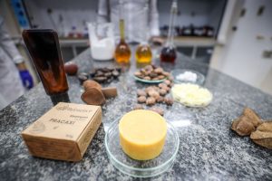 Fapespa incentiva pesquisas sobre Bioeconomia no Pará e na Amazônia