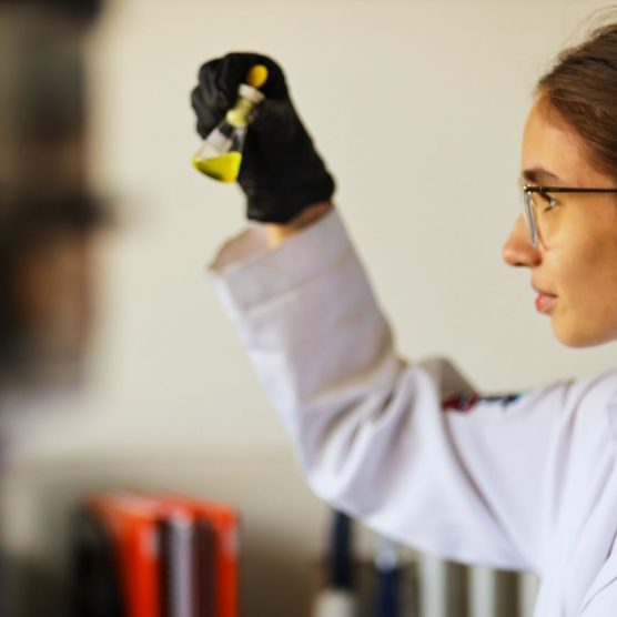 Estado aporta recursos na cadeia produtiva da bioeconomia para desenvolvimento