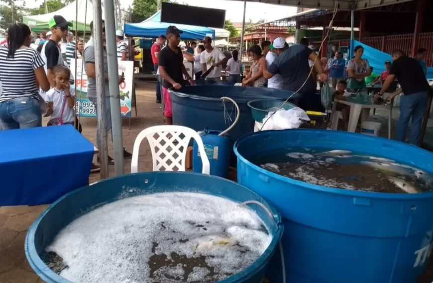 Produção pesqueira triplica no Pará, aponta Fapespa