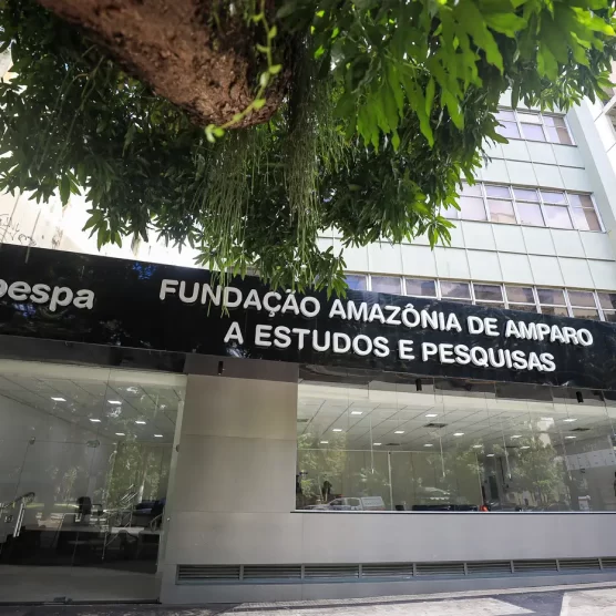 Fapespa lança novo edital do PPSUS para fomentar pesquisas em saúde no Pará