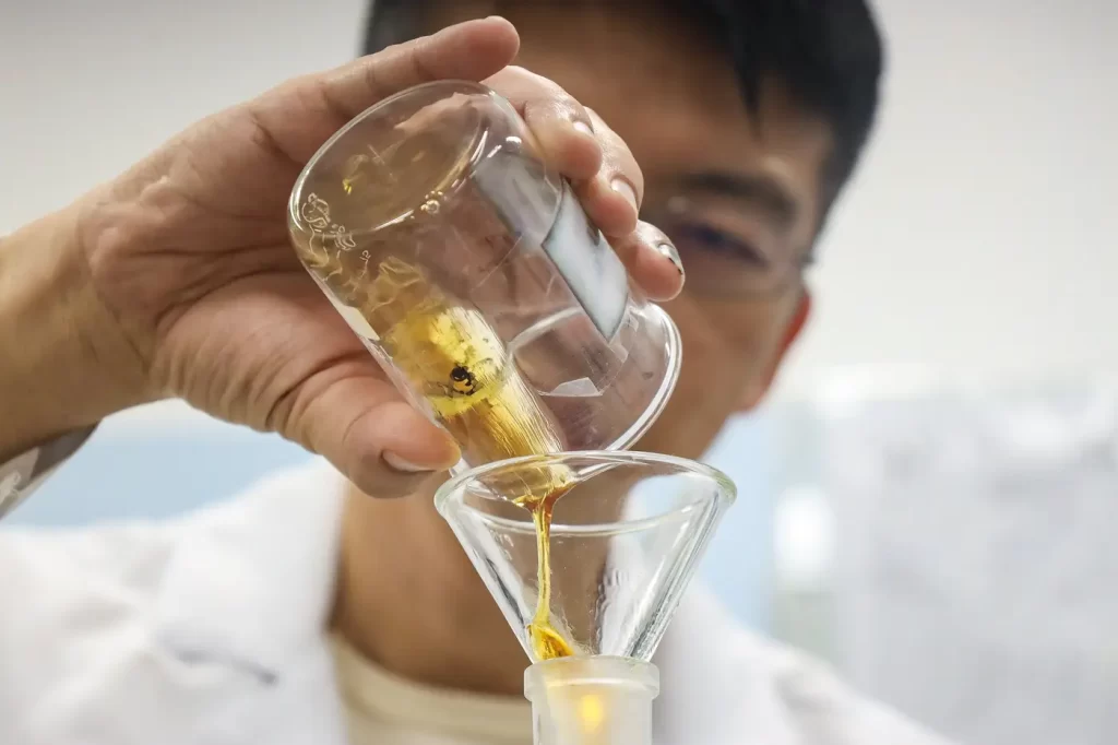 Parceria entre Fapespa e Universidade de Birmingham incentiva internacionalização da pesquisa no Pará