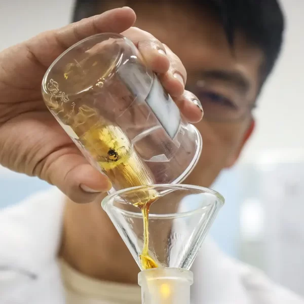 Parceria entre Fapespa e Universidade de Birmingham incentiva internacionalização da pesquisa no Pará