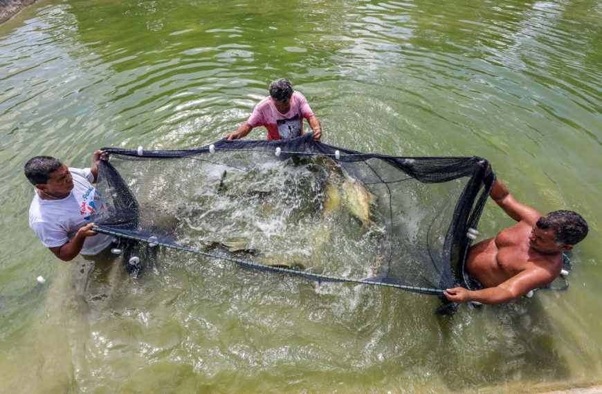 Fapespa divulga resultado final do Programa Jovem cientista da Pesca Artesanal