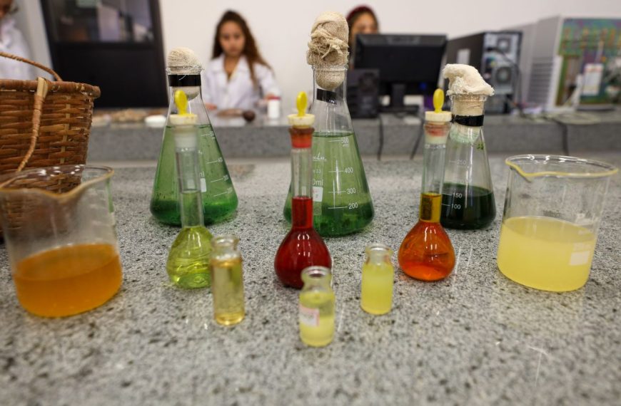 Com ‘Impulso Amazônia’, Estado fortalece inovação e negócios sustentáveis na região