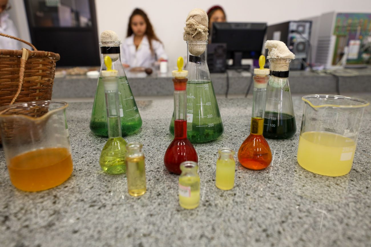 Com ‘Impulso Amazônia’, Estado fortalece inovação e negócios sustentáveis na região