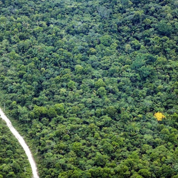 Parceria entre Fapespa e Universidade de Birmingham ganha chamada complementar