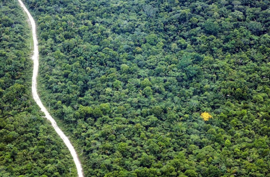 Parceria entre Fapespa e Universidade de Birmingham ganha chamada complementar