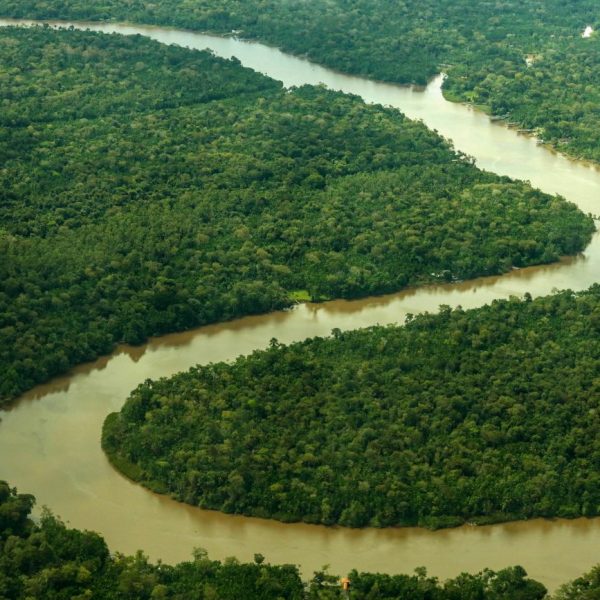 Fapespa divulga oportunidade de chamada com a British Council e Iniciativa Amazônia+10